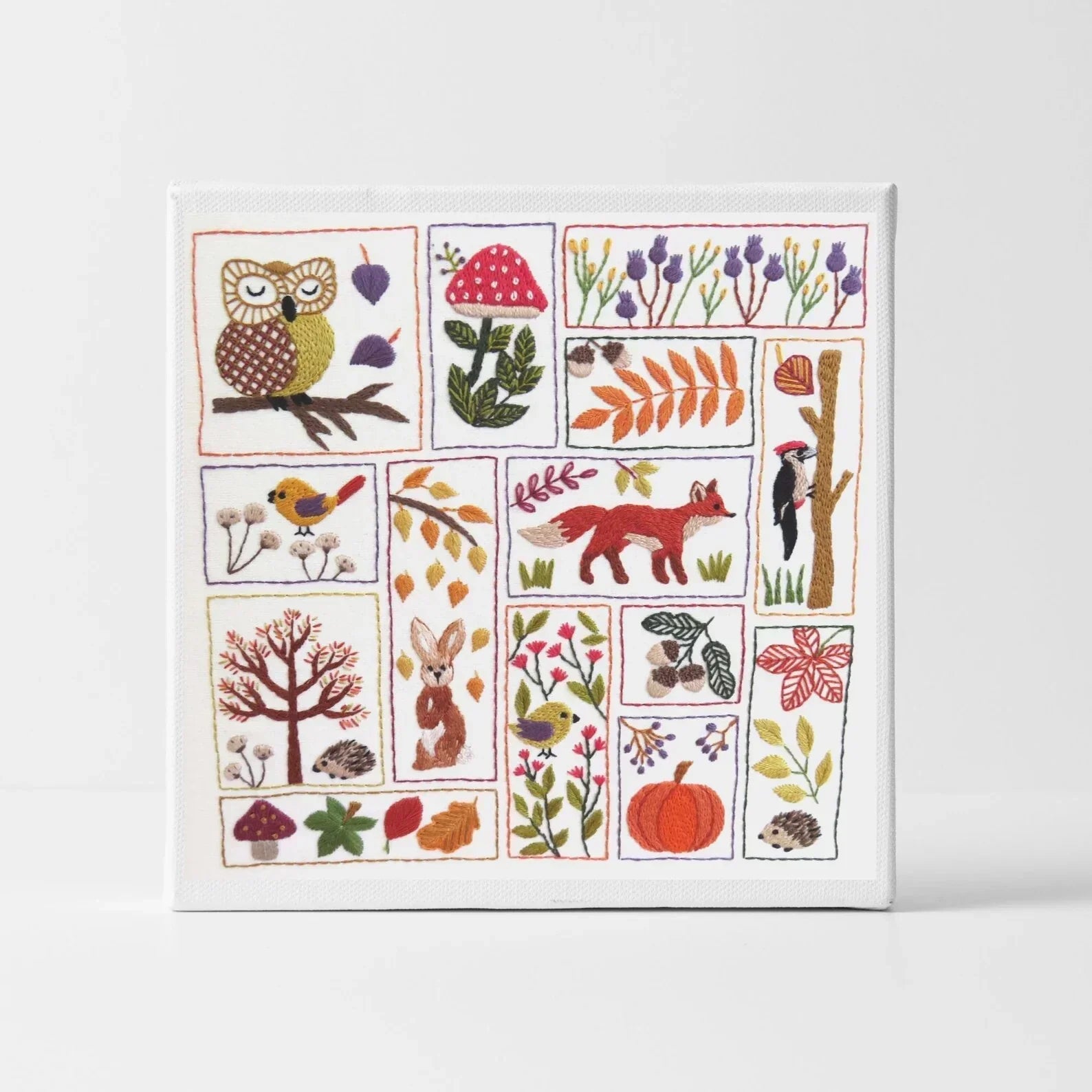 Framed artwork with nature-themed illustrations including animals and plants on a white background.
