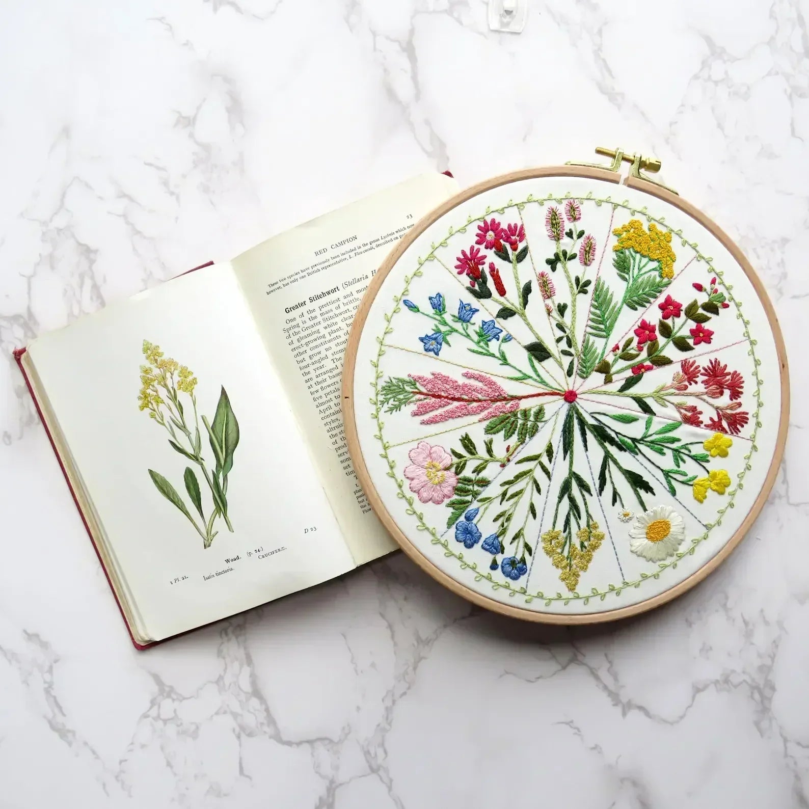 Embroidery hoop with floral design on a marble surface next to an open book with botanical illustrations.