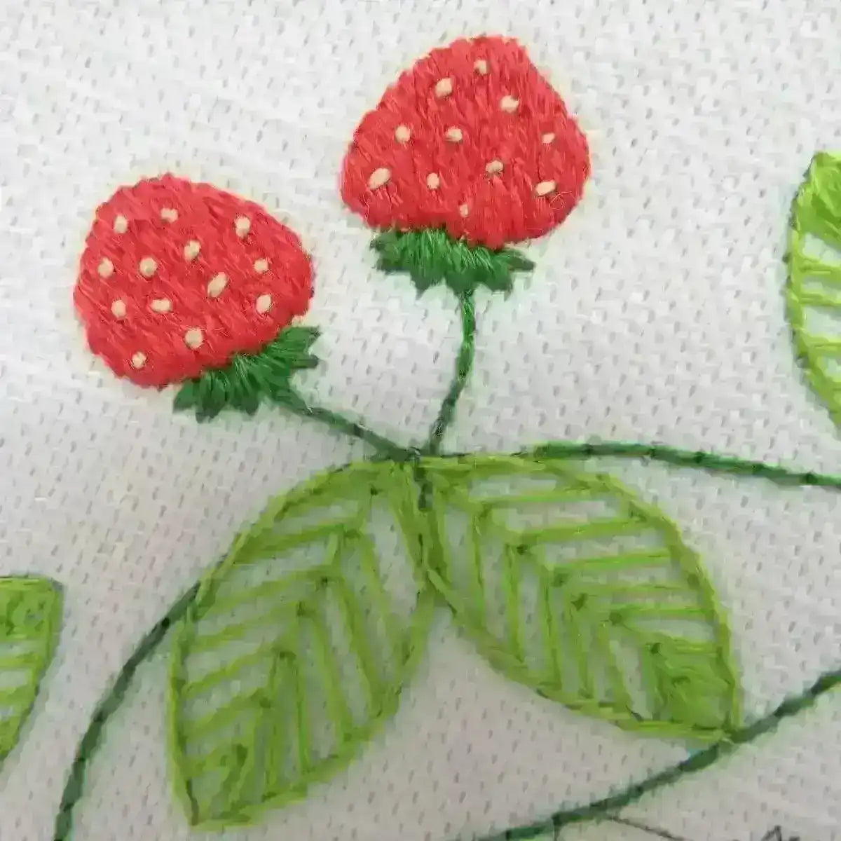 Strawberry Swirl, Pre Printed Embroidery Fabric Pattern , Pre Printed Fabric Pattern , StitchDoodles , crafting, Embroidery, embroidery gift, embroidery hoop kit, Embroidery Kit, embroidery kit for adults, embroidery kit for beginners, embroidery kits for adults, embroidery kits for beginers, embroidery pattern, hand embroidery, hand stitching, hoop art, modern embroidery, modern embroidery kits, sewing, stitchdoodles, strawberry , StitchDoodles , shop.stitchdoodles.com