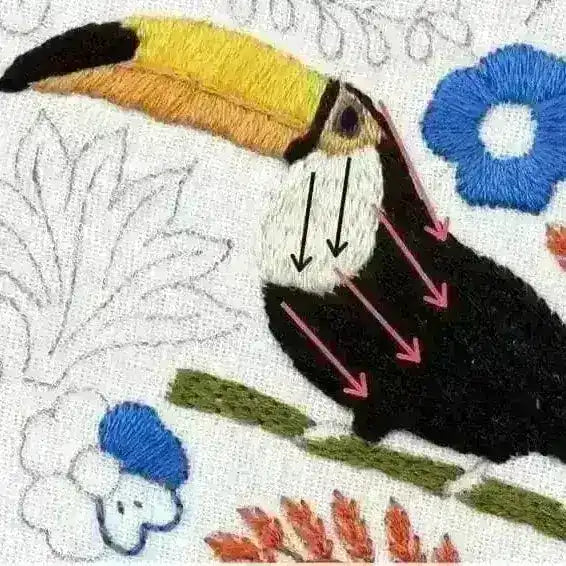 Toucan Parrot Hand Embroidery Pattern , PDF Download , StitchDoodles , bird embroidery, embroidery hoop kit, embroidery kit for adults, embroidery kit for beginners, embroidery kits for adults, embroidery kits for beginers, flower embroidery, hand embroidery, modern embroidery kits, PDF pattern , StitchDoodles , shop.stitchdoodles.com
