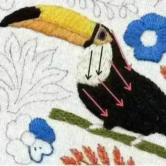 Toucan Parrot Hand Embroidery Pattern , PDF Download , StitchDoodles , bird embroidery, embroidery hoop kit, embroidery kit for adults, embroidery kit for beginners, embroidery kits for adults, embroidery kits for beginers, flower embroidery, hand embroidery, modern embroidery kits, PDF pattern , StitchDoodles , shop.stitchdoodles.com