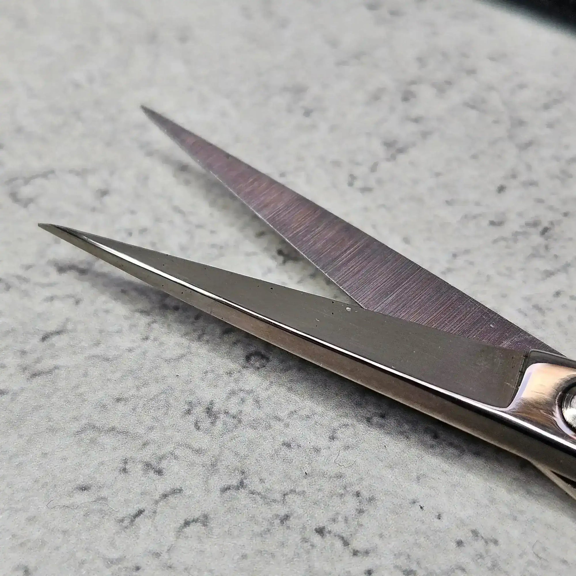 Tulip Royal Silver Scissors , Embroidery Supplies , Tulip , craft scissors, embroidery scissors, hand embroidery, needlework scissors, new, tulip , StitchDoodles , shop.stitchdoodles.com