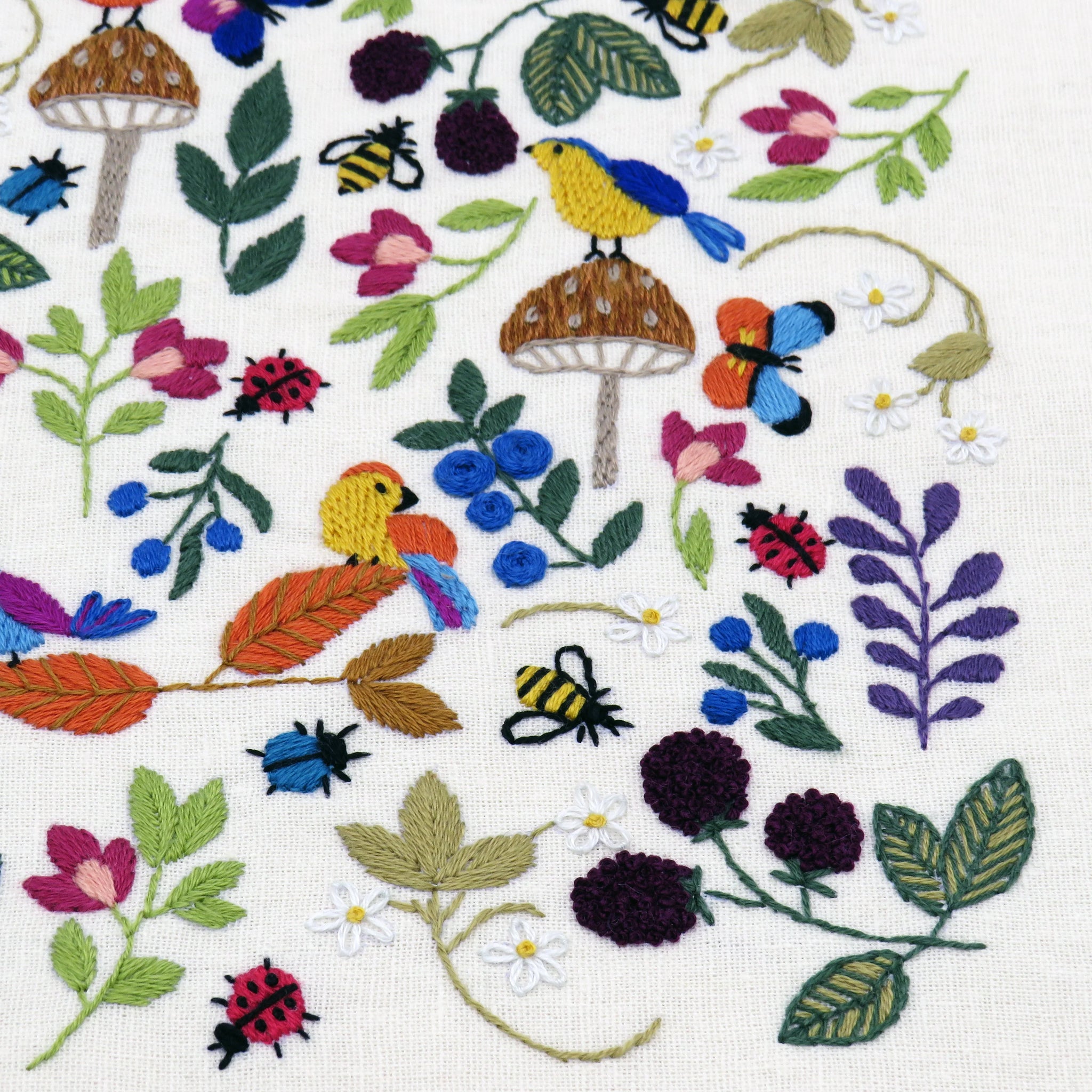 The colorful flora and fauna provide the perfect place for all the lovely birds to escape into as they enjoy the plentiful supply of strawberries, blackberries and blueberries.

This is a colorful hand embroidery sampler with an array of simple stitches making up all the different elements. See how many ladybirds, beetles and bees you can find as you stitch your way through the beautiful design.
