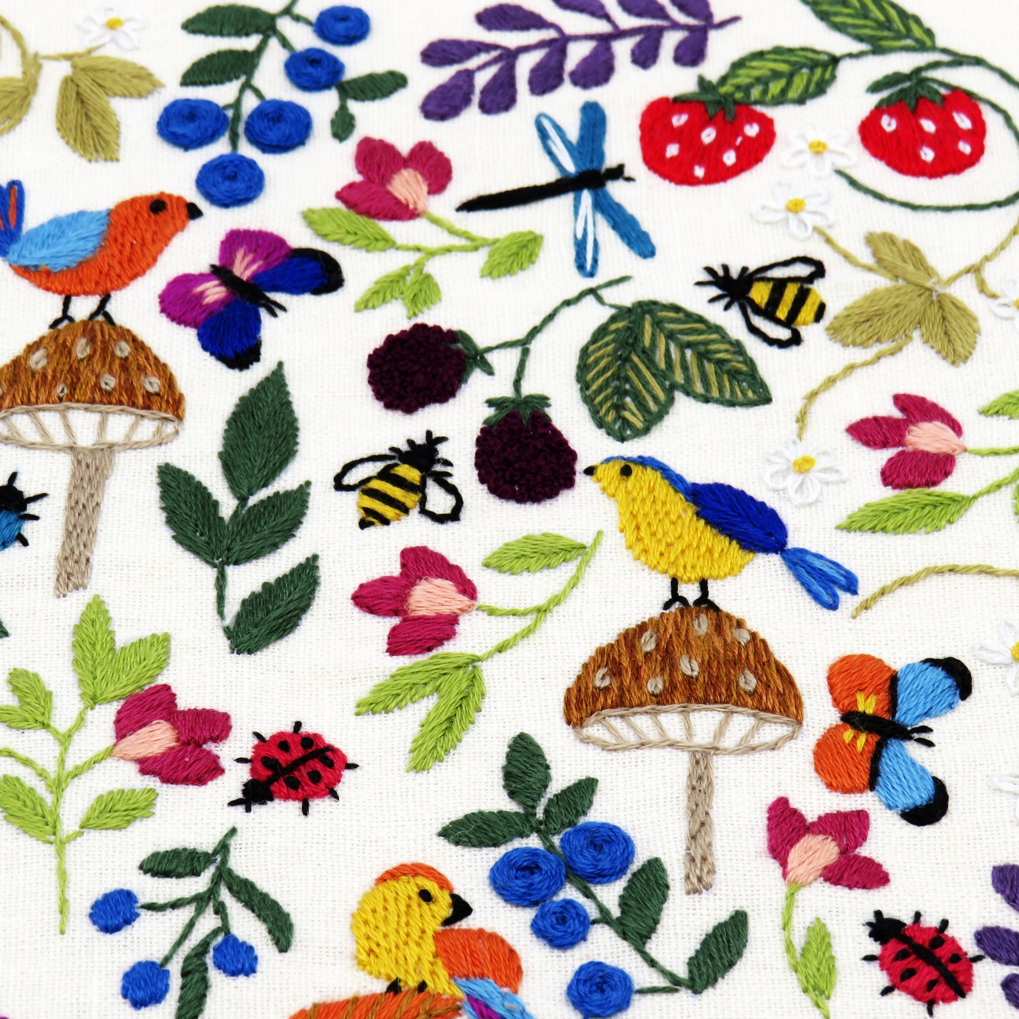 The colorful flora and fauna provide the perfect place for all the lovely birds to escape into as they enjoy the plentiful supply of strawberries, blackberries and blueberries.

This is a colorful hand embroidery sampler with an array of simple stitches making up all the different elements. See how many ladybirds, beetles and bees you can find as you stitch your way through the beautiful design.