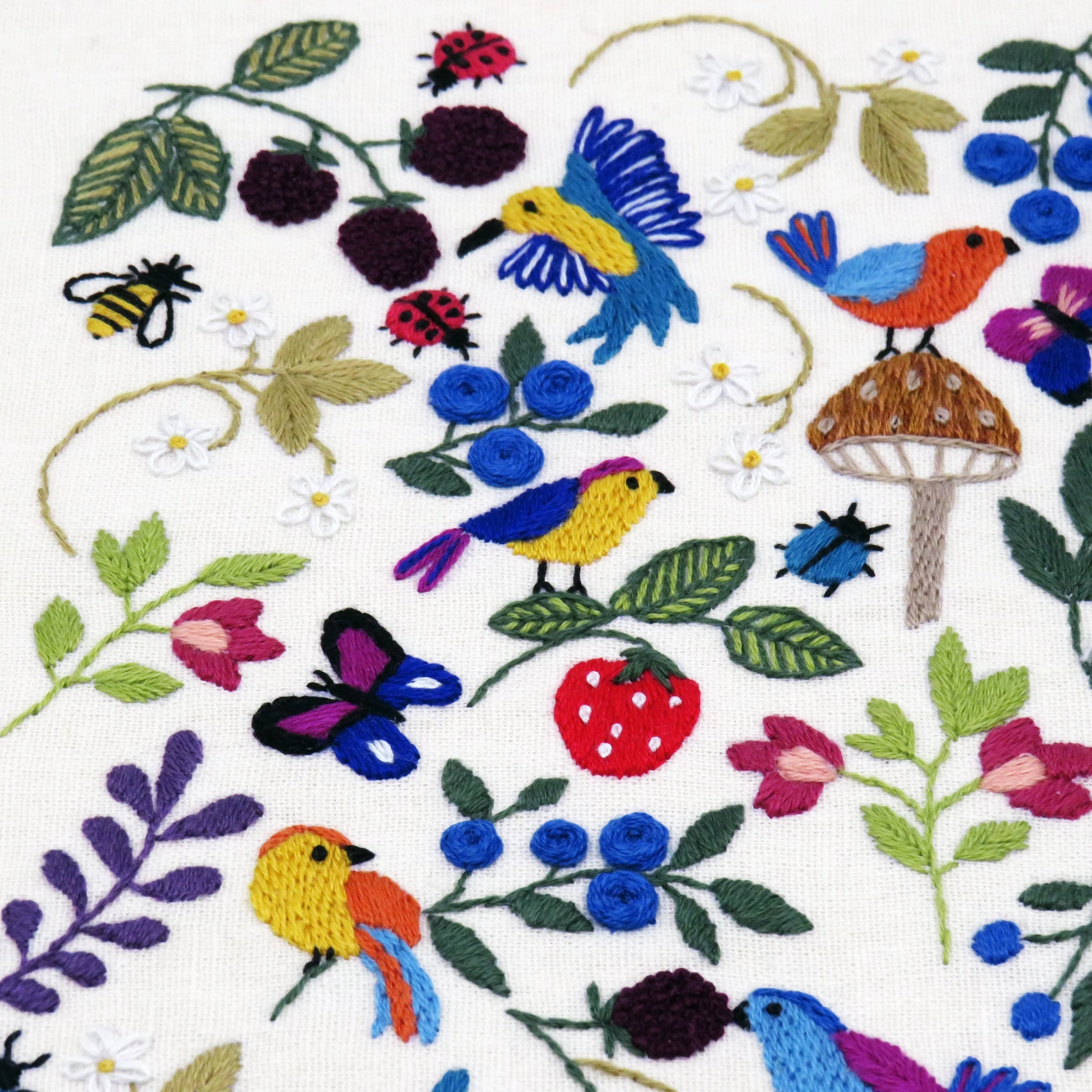 The colorful flora and fauna provide the perfect place for all the lovely birds to escape into as they enjoy the plentiful supply of strawberries, blackberries and blueberries.

This is a colorful hand embroidery sampler with an array of simple stitches making up all the different elements. See how many ladybirds, beetles and bees you can find as you stitch your way through the beautiful design.