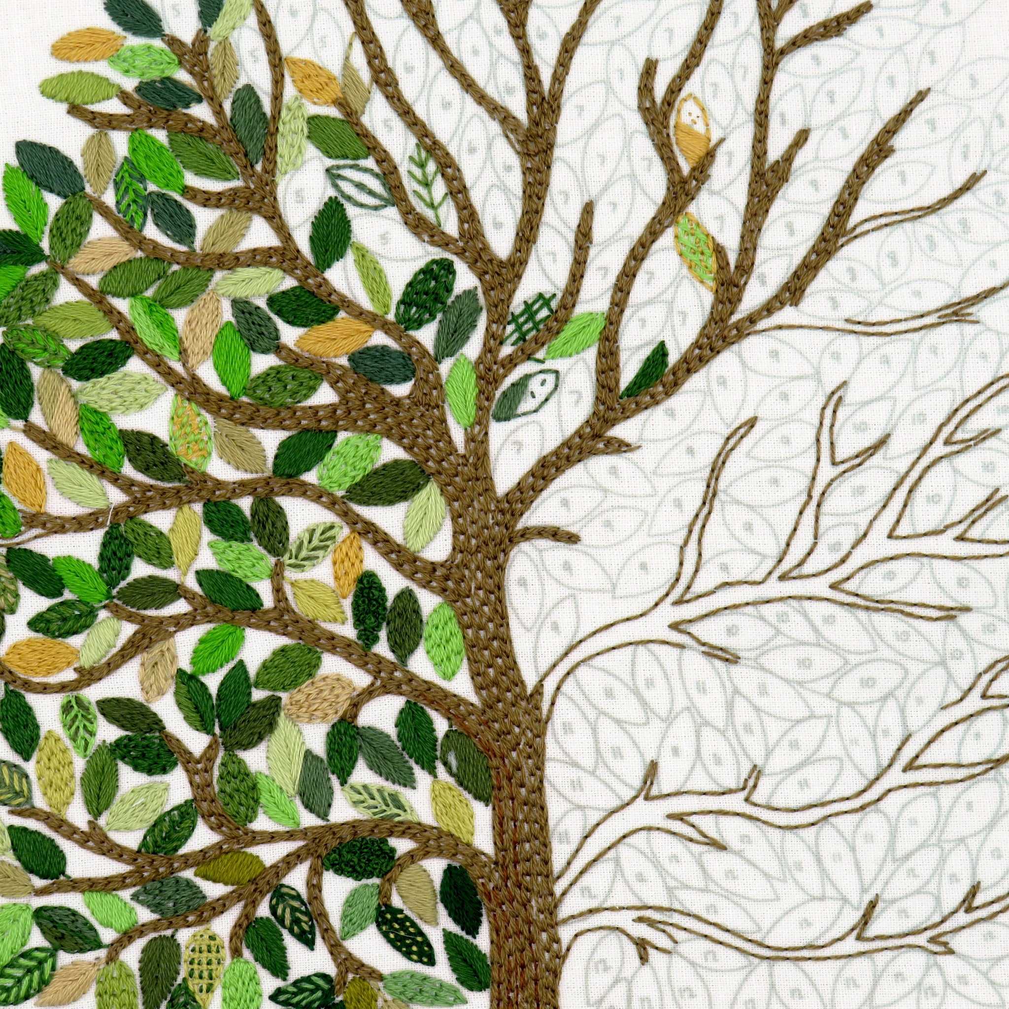 Tree with green leaves and brown branches on a white background
