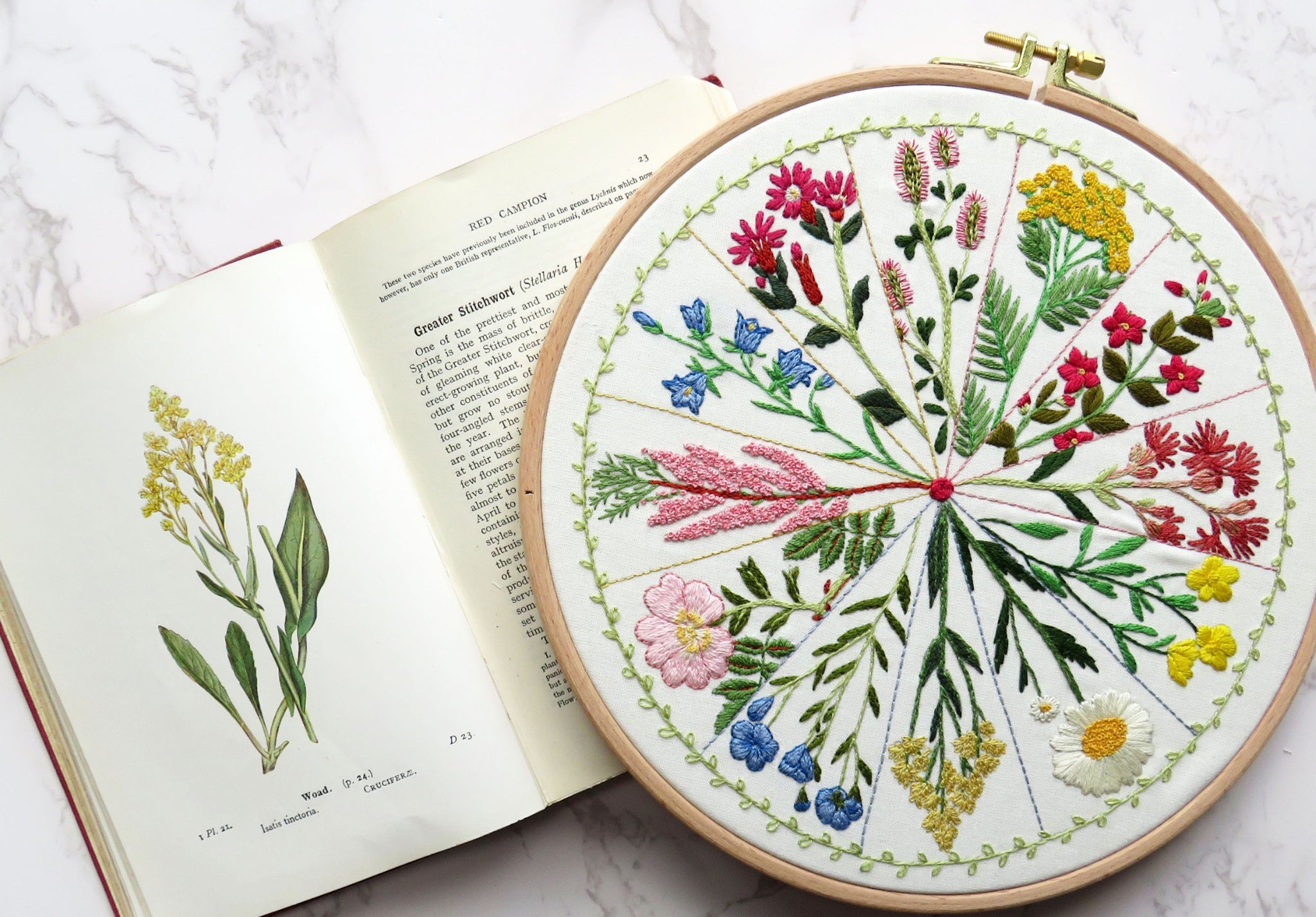 Full Embroidery Kit for Beginners Floral Embroidery Set DIY Embroidery Kit  with Hoop Modern Floral Embroidery