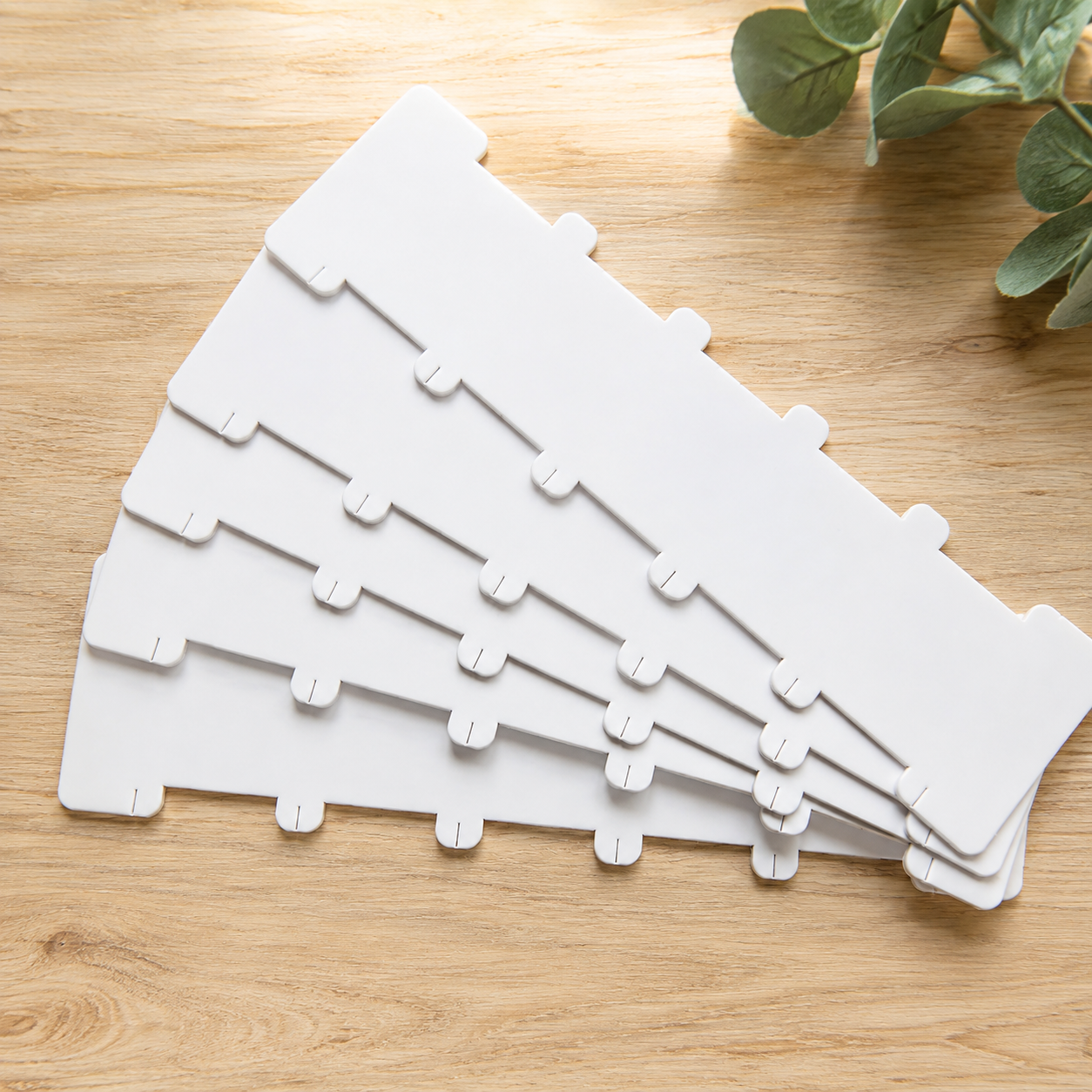 Six white plastic card dividers with tabs, fanned out on a light wood tabletop next to some green leaves.