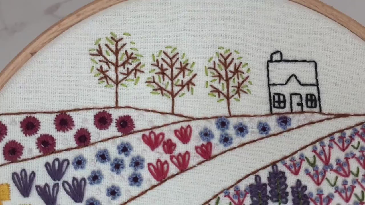 Flower Meadow close up video movie