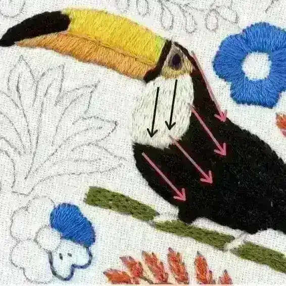 Toucan Parrot Hand Embroidery Pattern , PDF Download , StitchDoodles , bird embroidery, embroidery hoop kit, embroidery kit for adults, embroidery kit for beginners, embroidery kits for adults, embroidery kits for beginers, flower embroidery, hand embroidery, modern embroidery kits, PDF pattern , StitchDoodles , shop.stitchdoodles.com
