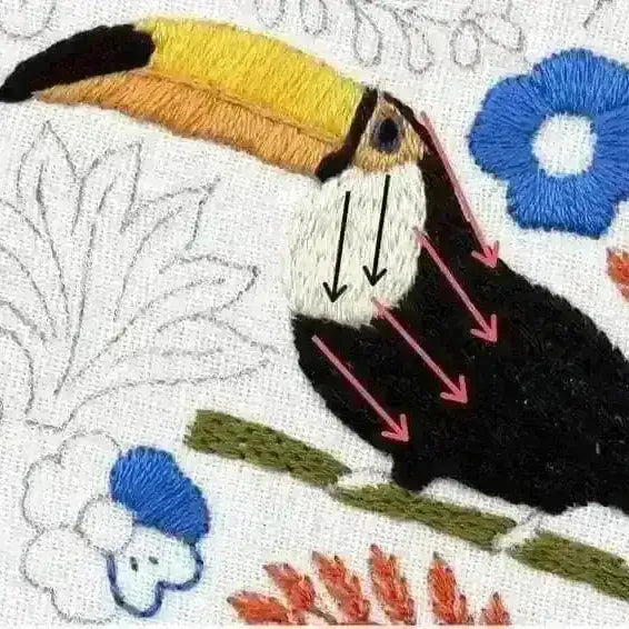Toucan Parrot Hand Embroidery Pattern , PDF Download , StitchDoodles , bird embroidery, embroidery hoop kit, embroidery kit for adults, embroidery kit for beginners, embroidery kits for adults, embroidery kits for beginers, flower embroidery, hand embroidery, modern embroidery kits, PDF pattern , StitchDoodles , shop.stitchdoodles.com