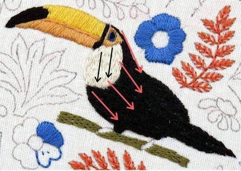 Toucan Parrot Hand Embroidery Pattern , PDF Download , StitchDoodles , bird embroidery, embroidery hoop kit, embroidery kit for adults, embroidery kit for beginners, embroidery kits for adults, embroidery kits for beginers, flower embroidery, hand embroidery, modern embroidery kits, PDF pattern , StitchDoodles , shop.stitchdoodles.com